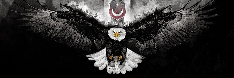 ozlemugurlu03's profile banner image