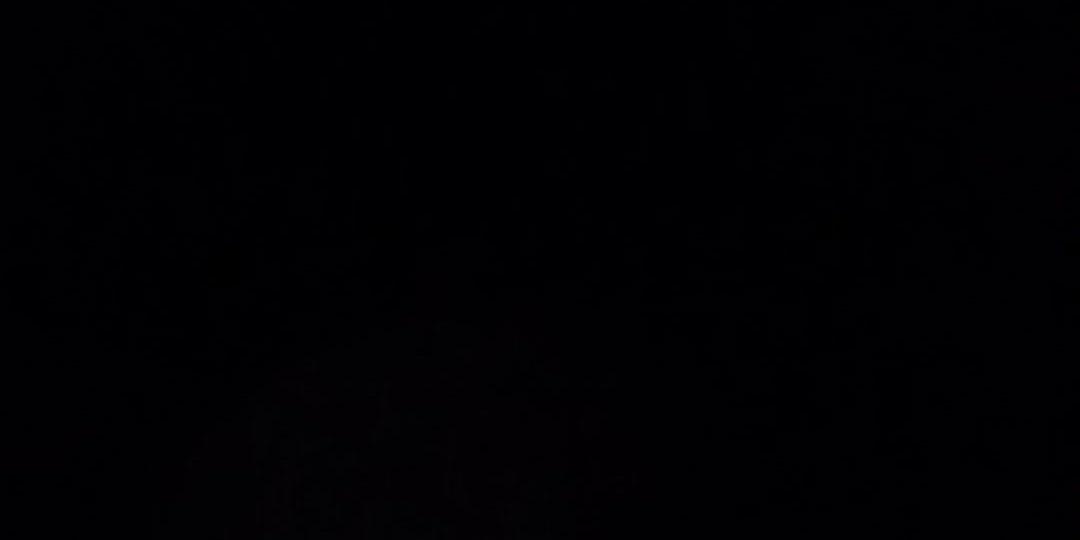 lilwees4's profile banner image