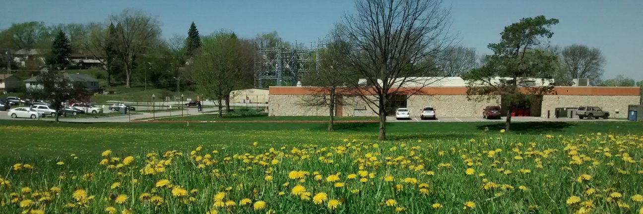 Bellevue Library banner