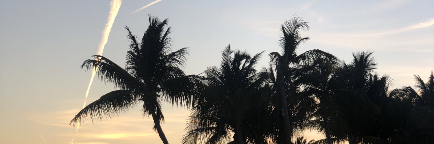 chloegalvez_'s profile banner image