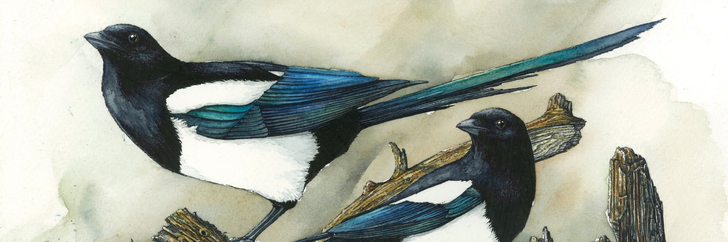 andremvaillant's profile banner image