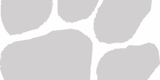 NH Elementary banner