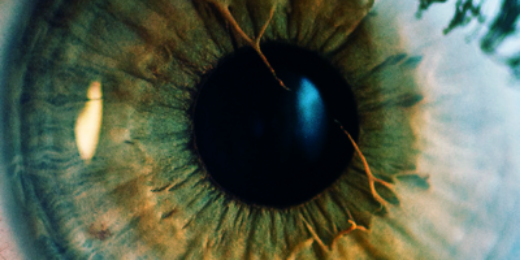 _belovend_'s profile banner image