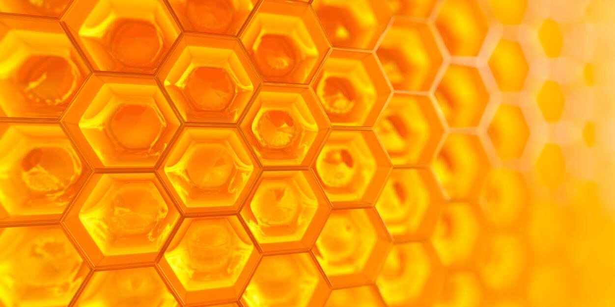 HiveNetworkOrg's profile banner image