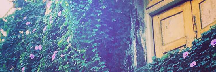 MaithiliSince90's profile banner image