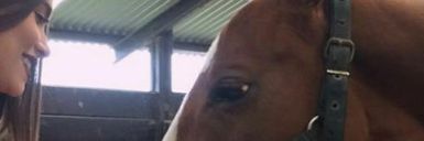SofaAlmando's profile banner image