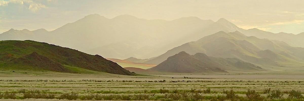 madyrodgers's profile banner image