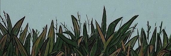 Nihalkurt's profile banner image