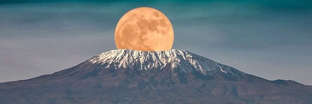 The Sun Of Africa banner