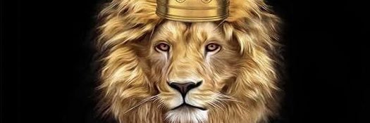 Kingg Lee banner