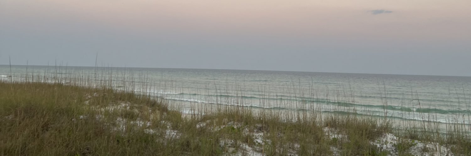 kaylasue__'s profile banner image