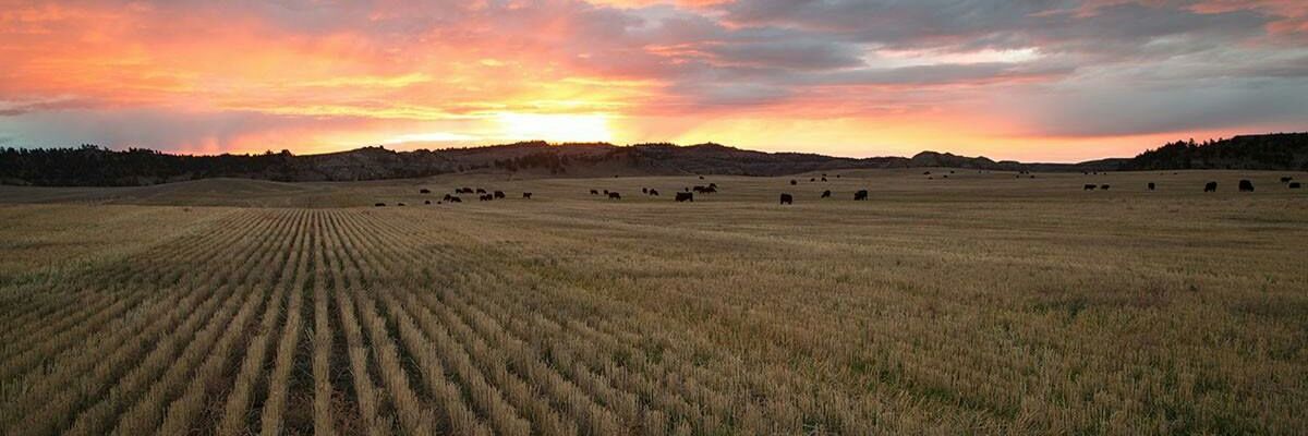 Land Loan Specialist banner