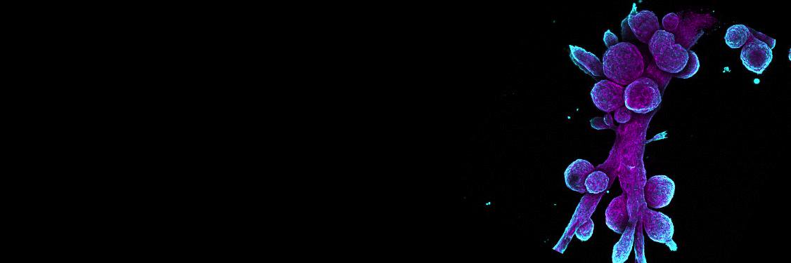DX_Jin's profile banner image