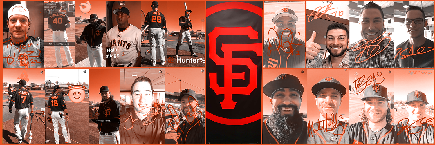 SFGsnaps banner