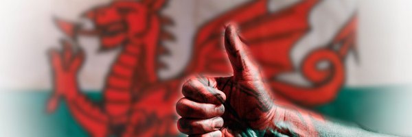 gwynforjames Profile Banner