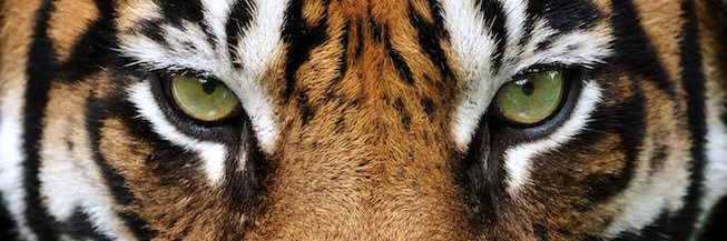 Martin Baker 📷 banner