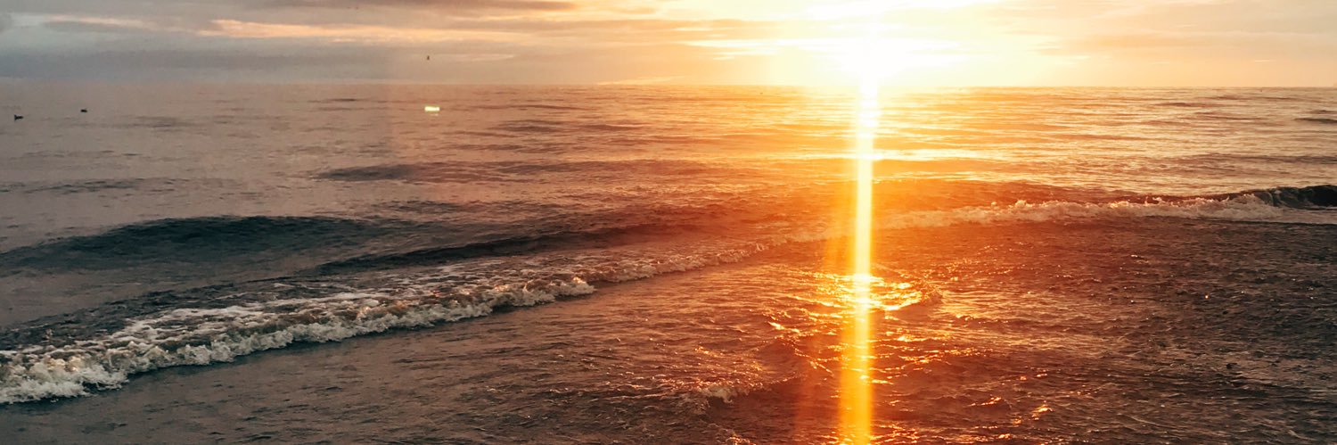 hpalmtrees's profile banner image