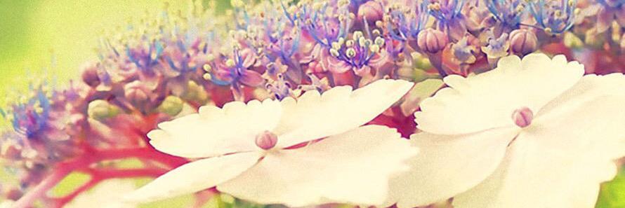 SAYO_chaang's profile banner image