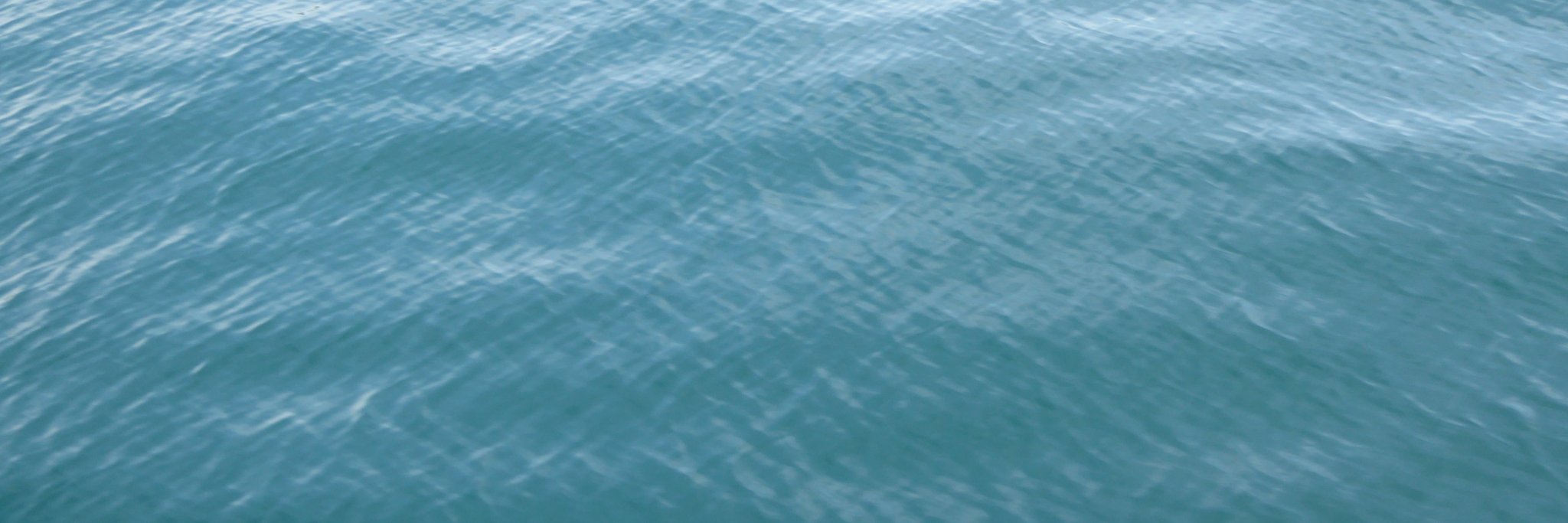 Dawndotcom's profile banner image