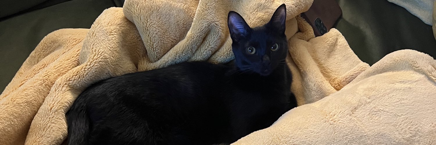 loshmeg's profile banner image