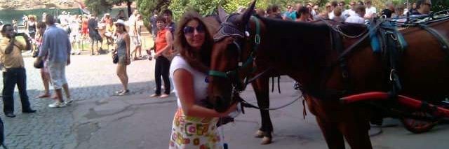 Tanja banner