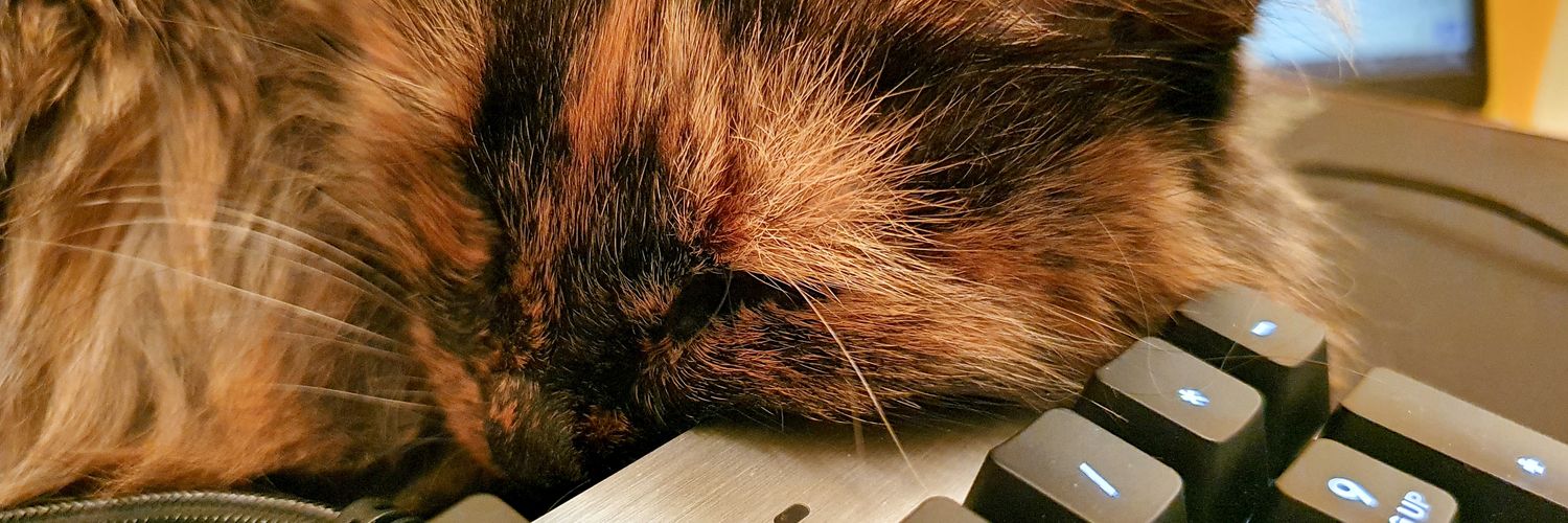 78lusi_'s profile banner image