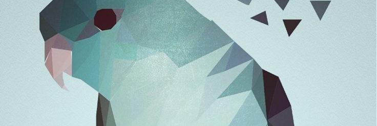 kikiques's profile banner image