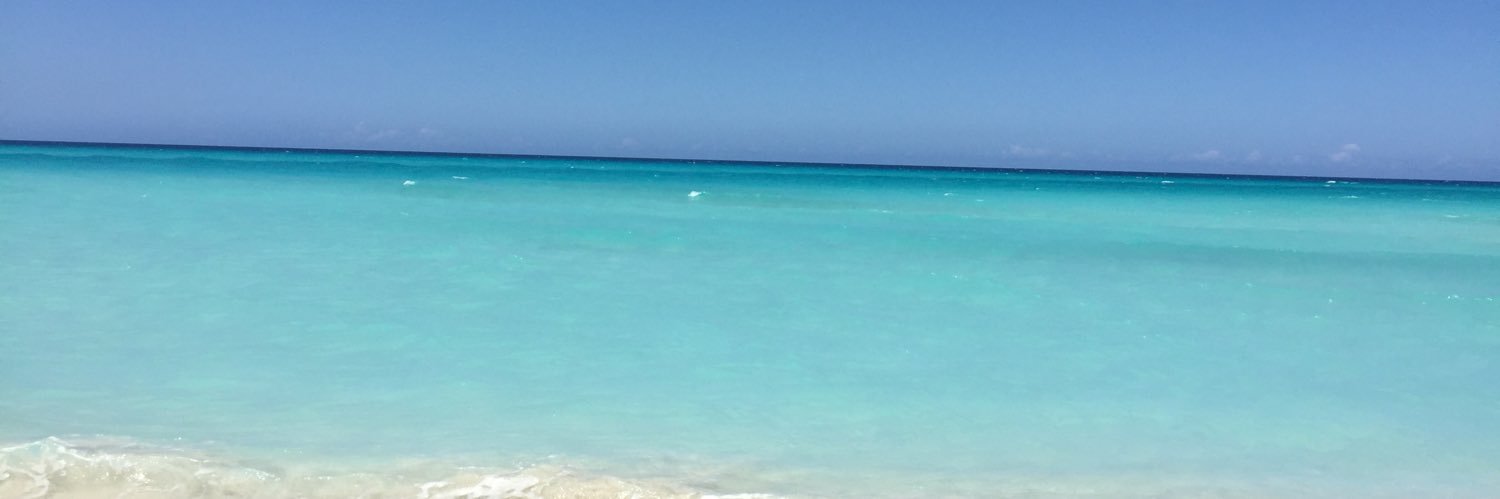 lfercibarra's profile banner image