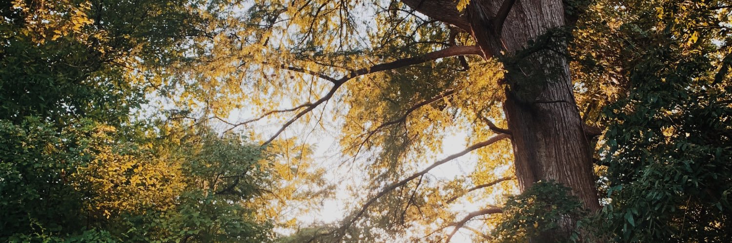 Hannah_Mathes's profile banner image