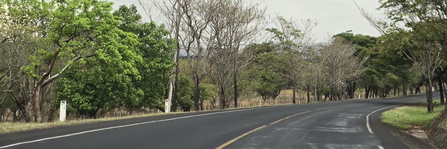 jonathanruizvi's profile banner image