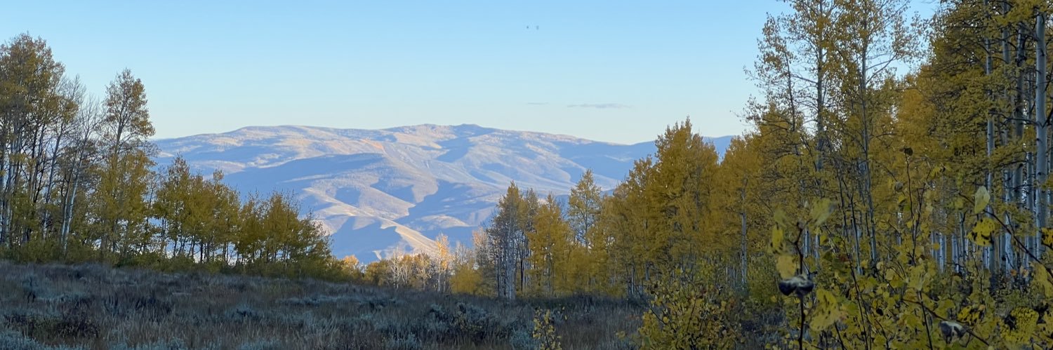 Erin Tree, DO banner