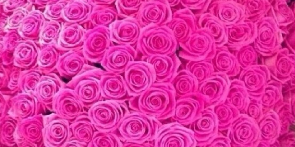 jadorehajar's profile banner image