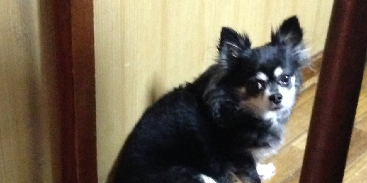 yk23123's profile banner image