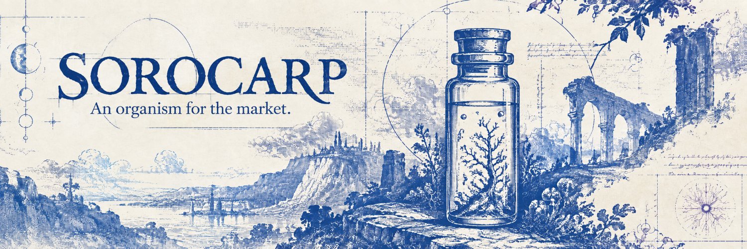 sorocarp's profile banner image