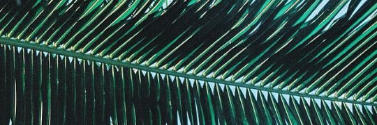 Tokei banner