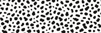 HallieLackey's profile banner image
