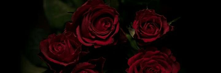 NIAFaez's profile banner image