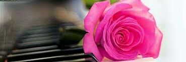 LadyMaaru's profile banner image