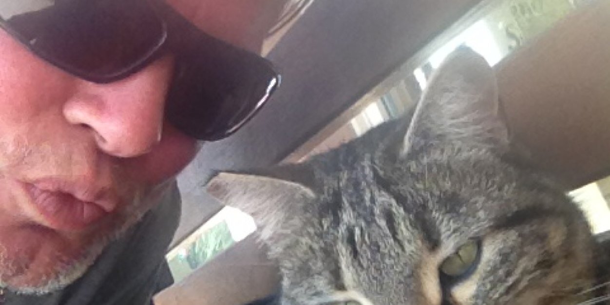 Guido Schäfer banner