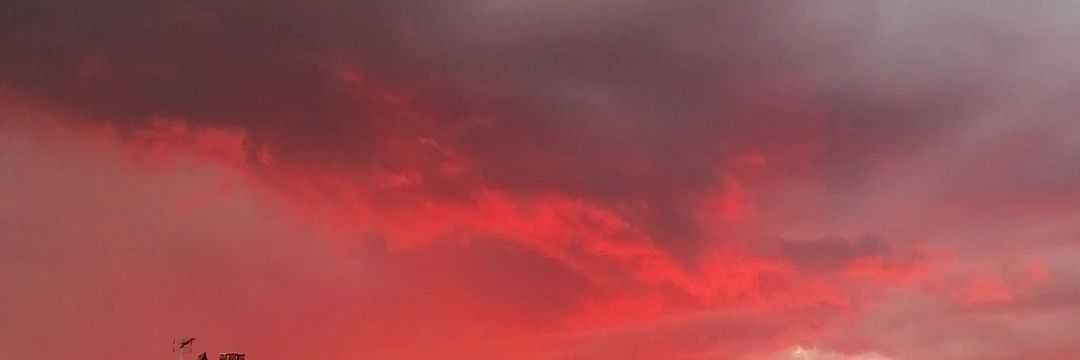 marta_op06's profile banner image