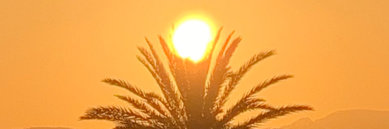 Fernando Ibáñez 🇪🇸 banner