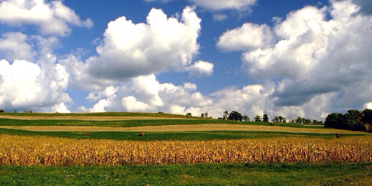 THE_Iowa_Impact's profile banner image