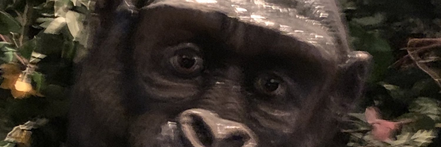 jgries74's profile banner image