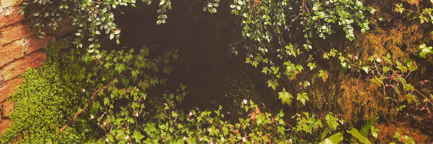 lambdawrites's profile banner image
