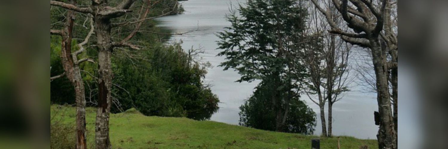 OdetteInostroza's profile banner image