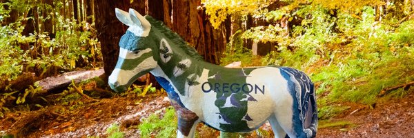 ORDems Profile Banner