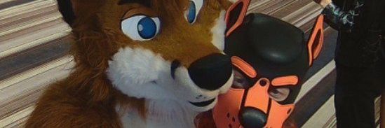 drockanfox's profile banner image