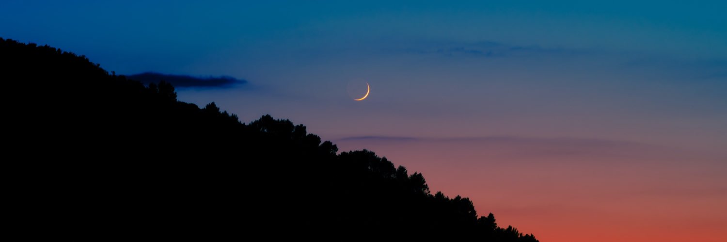 lindzbizkit's profile banner image