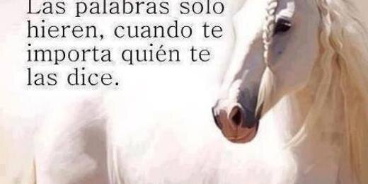 BalderasJurado's profile banner image