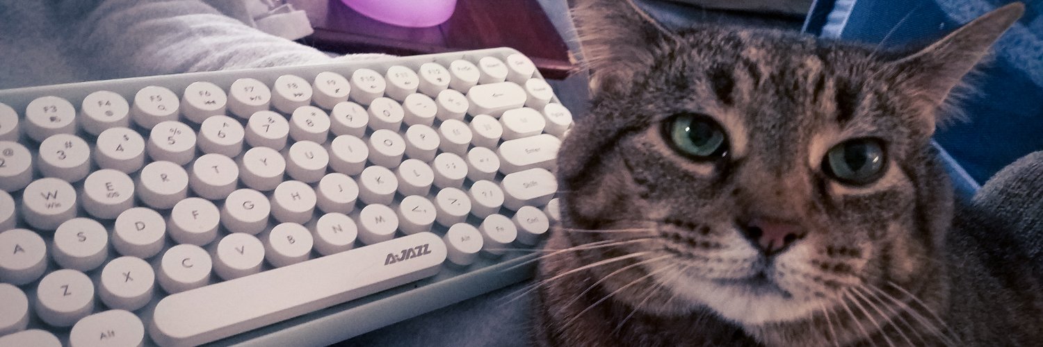 BookishMeow's profile banner image